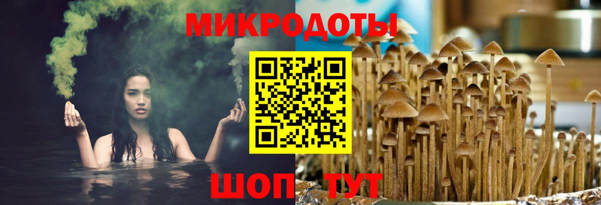 Псилоцибиновые грибы мицелий Омск